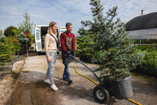 The Plains, OH Tree Services Company